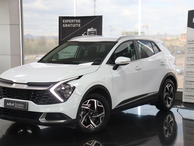 Véhicule occasion KIA  Sportage  Sportage IV - Ph2 - 1,6L CRDI Active  BVA 136ch