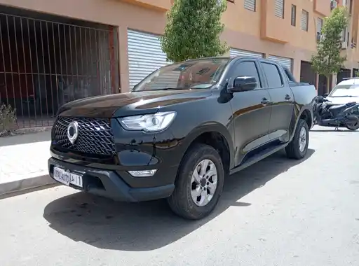 GWM POER DC